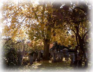 Cemetery in Autumn at Christ Church Shrewsbury Cemetery in Autumn at Christ Church Shrewsbury